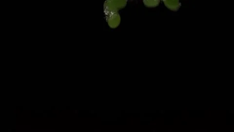 Green grapes will fall into the water in slow motion. on a black background Stock Footage 131036915