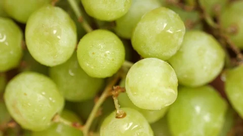 Green grapes zoom in Stock Footage 102182848