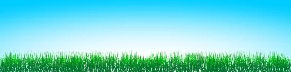 Green gras, Blue Sky vector. Stock Illustration