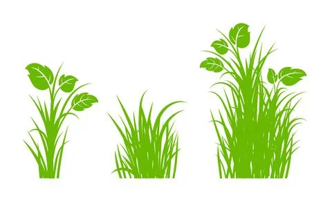 Green Gras 스톡 일러스트