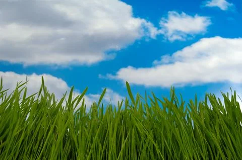 Green grass and clouds Stock Photos