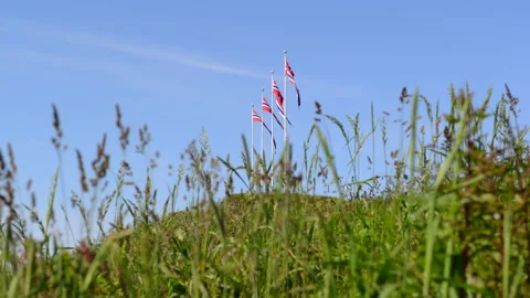 Green Grass and four flags of Norway waving on the wind, Norway Stock Footage 132557270