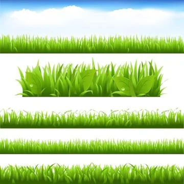 Green grass and leafs set Illustrazione stock