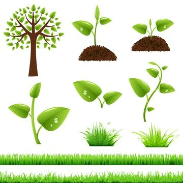 Green Grass And Leafs Set Stock Illustration