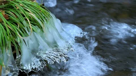 Green grass and rapid flow of water. Stock Footage 10679892