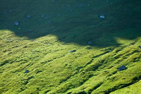 Green grass and shadow texture Stock Photos