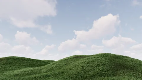 Green Grass And Sky Stock-Footage 263951061