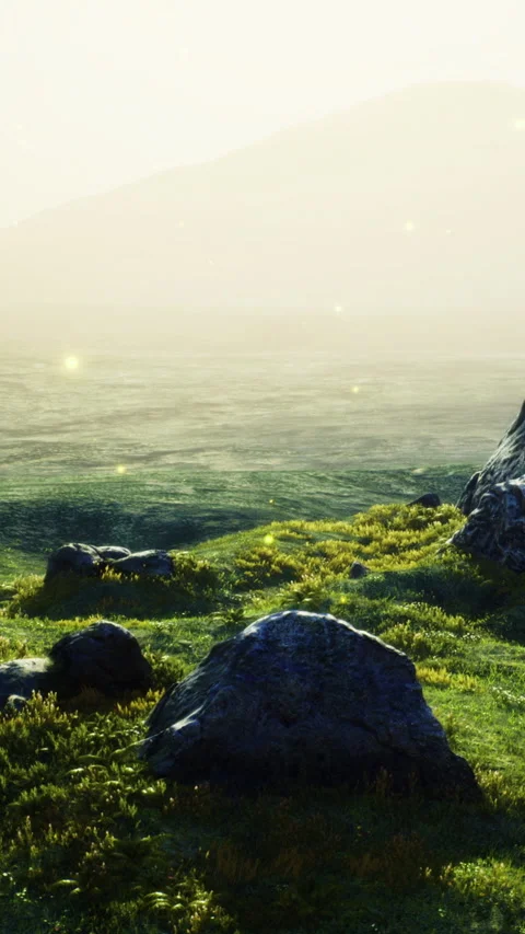 Green grass and stones under bright sky with soft light at sunrise Stock Footage 334249258