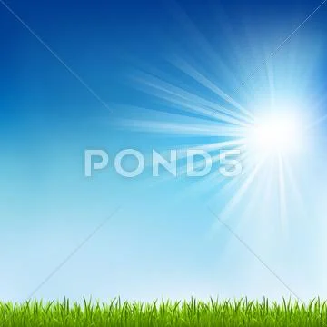 Green grass and sun beam Stock Illustration