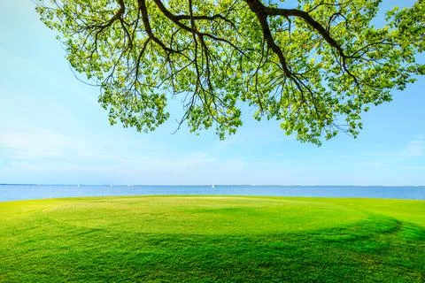 Green grass and tree with river in spring season. Stock Photos