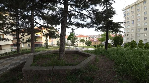 Green Grass and Trees In A Park Surrounded By Residential Buildings Stock Footage