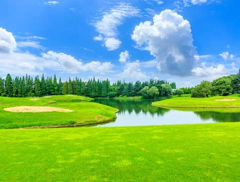 Green grass and trees in spring season. Stock Photos