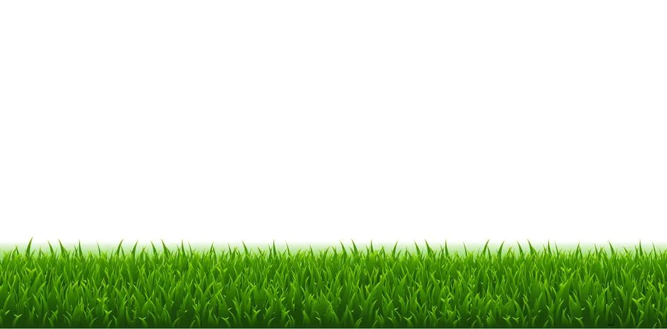 Green Grass And White Background Stock Illustration