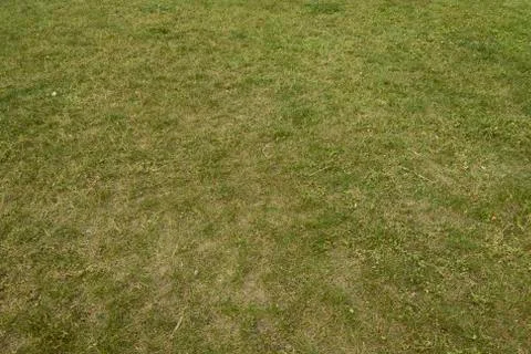 Green Grass with Angle Stock Photos