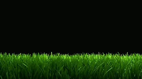 Green grass animation for lower 3rd, matte included. Stock Footage