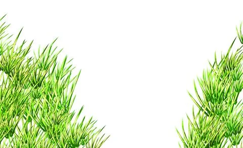 Green grass arching frames, decorative natural foliage borders, illustation Stock Illustration