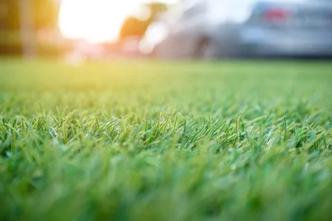 Green grass background, artificial grass field for decoration at carpark Stock Photos