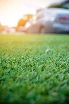Green grass background, artificial grass field for decoration at carpark Foto stock