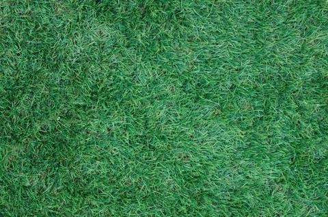 Green grass for background, artificial Stock Photos