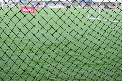 Green grass background with black net, compettiton season Foto stock