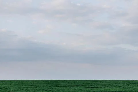 Green grass on a background of cloudy sky at sunset Stock Photos