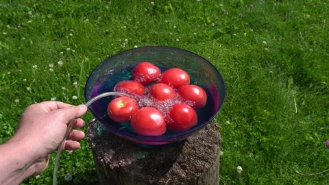 Green grass background. The compressor pumps ozone into a bowl of vegetables. 库存影片 167655325