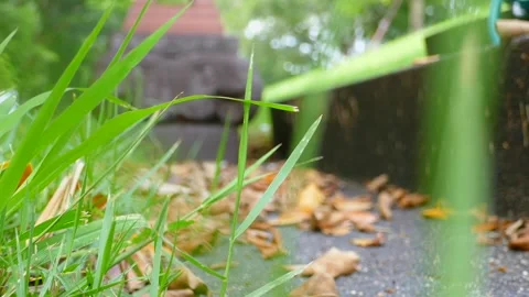 Green grass background Stock Footage 140383461