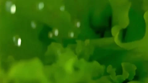 Green grass background Stock Footage 303361535