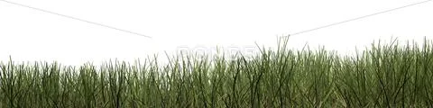 Green grass background Stock Illustration