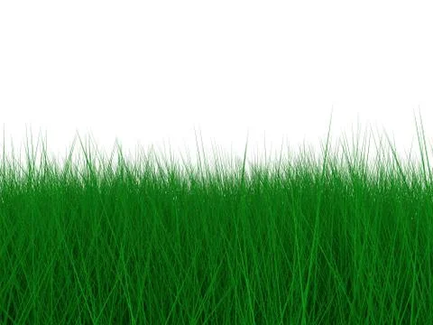 Green grass for background Stock Illustration