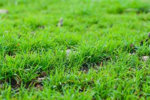 Green Grass Background Image Over The Hills Stock Photos