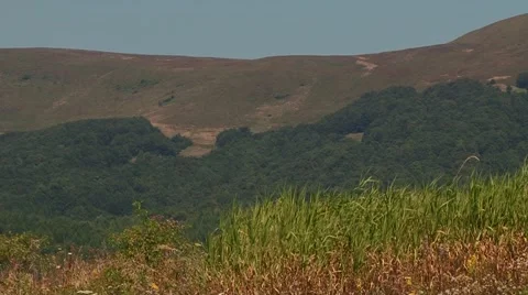 Green grass on a background of mountains Stock Footage 68818612