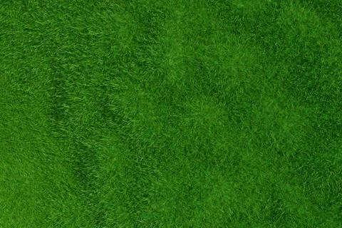 Green grass background. Natural background. Top view. 3d rendering. Illustrazione stock