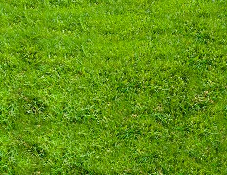 Green grass background-pattern Stock Photos