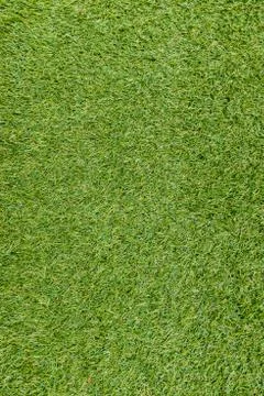 Green grass background Stock Photos