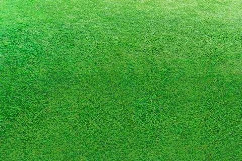 Green grass background Stock Photos