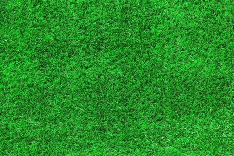 Green grass as background Stock Photos