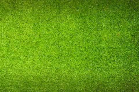 Green grass background Stock Photos