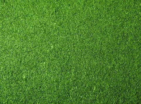 Green grass background Stock Photos