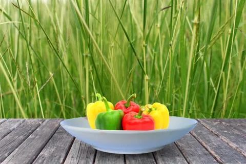 Green grass background Stock Photos