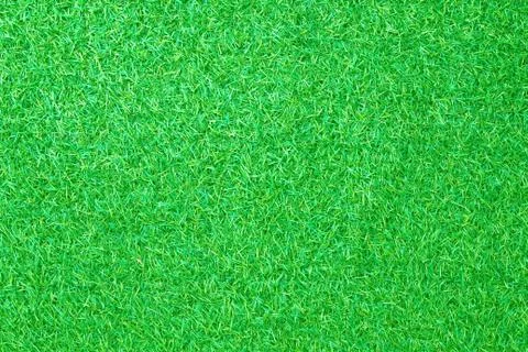 Green grass background Stock Photos