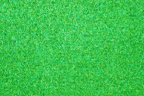 Green grass background Stock Photos