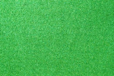 Green grass background Stock Photos