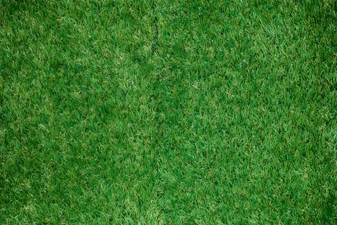 Green grass background Stock Photos