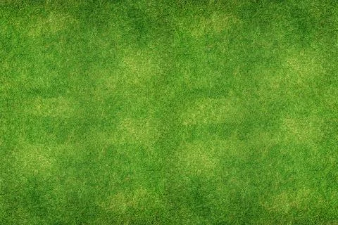 Green grass background Stock Photos