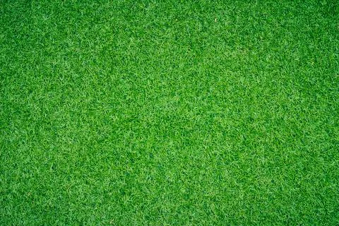 Green grass background Stock Photos