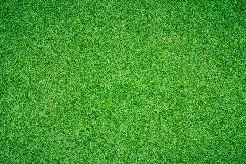 Green grass background Stock Photos