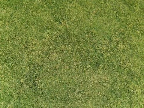 Green grass background Stock-Fotos