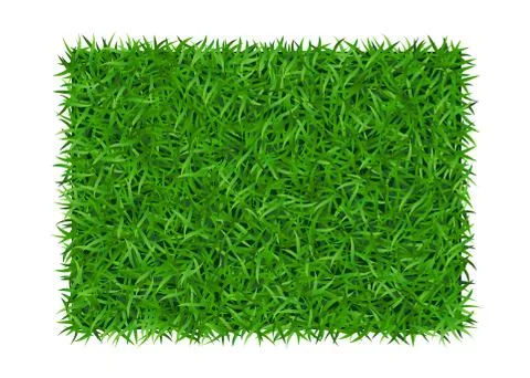 Green grass background rectangle Stock Illustration