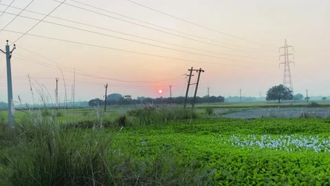 Green grass background sunset, two high voltage cable Stock Footage 224903733